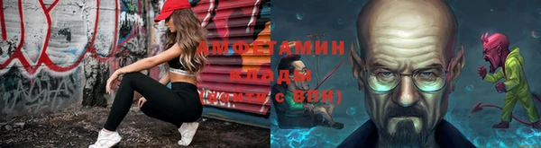 прущие грибы Горнозаводск