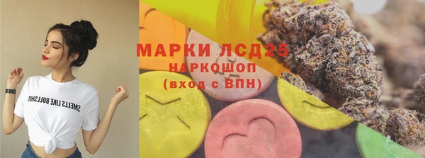 индика Горно-Алтайск