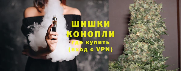 индика Горно-Алтайск
