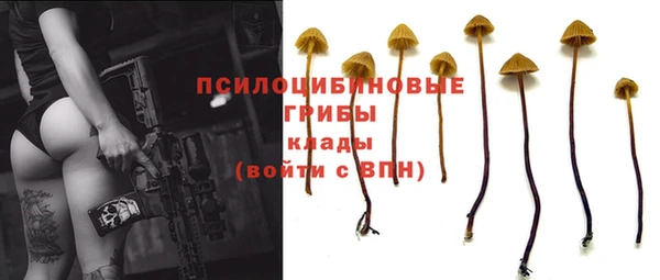 скорость Горняк