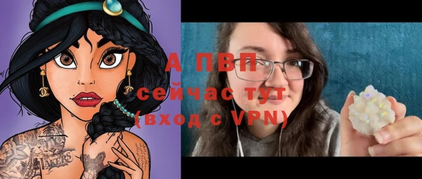индика Горно-Алтайск