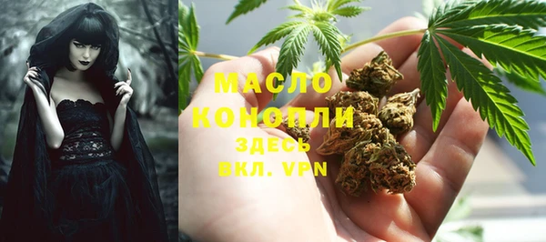 прущие грибы Горнозаводск